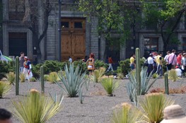 En EL Centro Histórico de la Ciudad de México